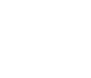 Seminci Seccion Oficial