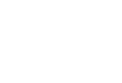 Logo berlin perpectives