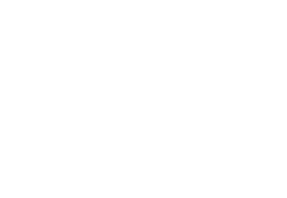 Seminici logo bn