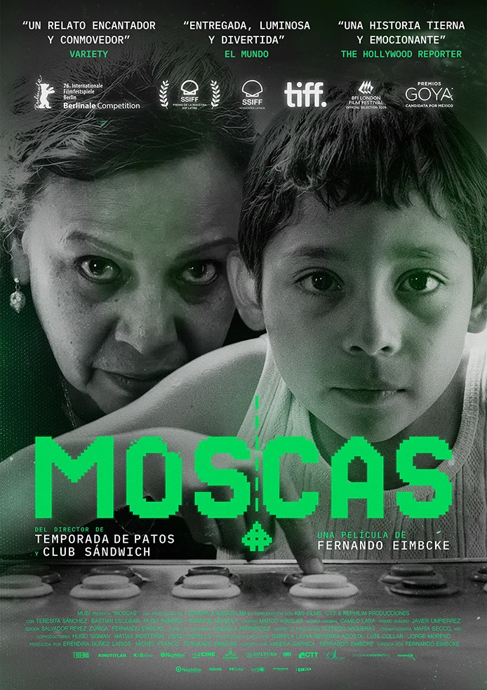 Moscas